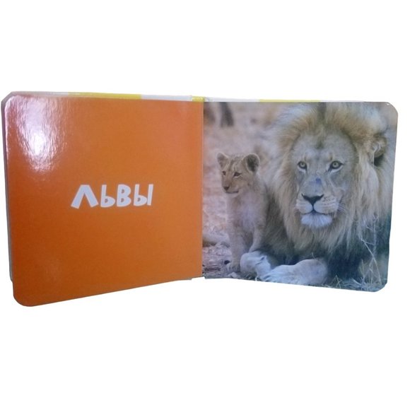 Children's Book | 10 Animals | Zhivotnye | Foto-kniga | Russian Edition - Picture 8 of 16